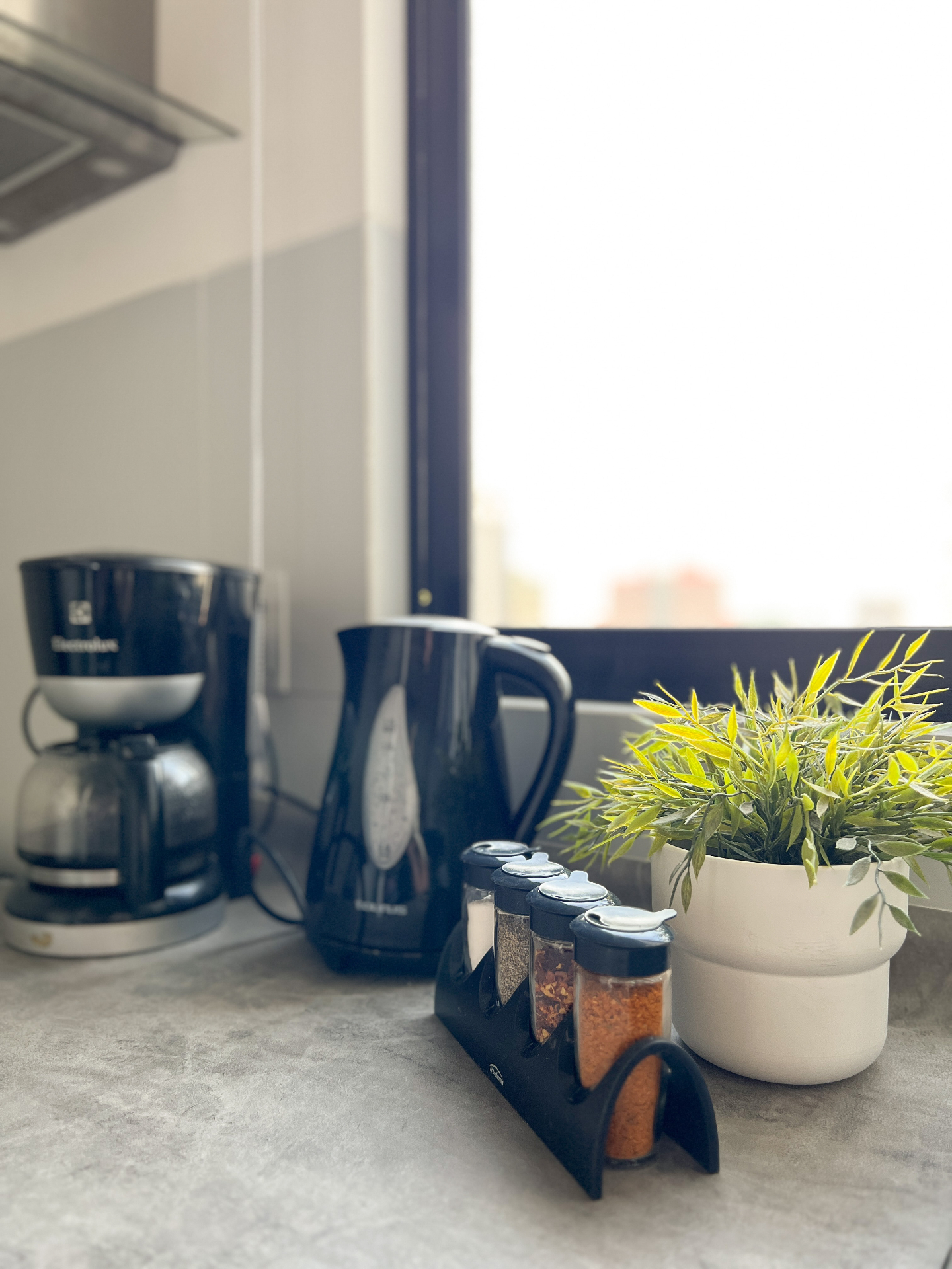 Coffee maker, kettle, spices, and a green plant in the sunny kitchen